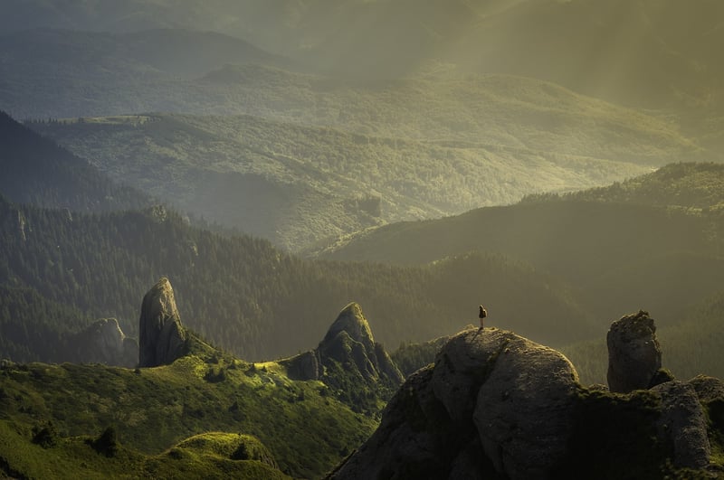 Thrilling Outdoor Adventures