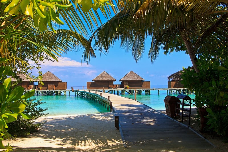 Tropical Paradise Retreat
